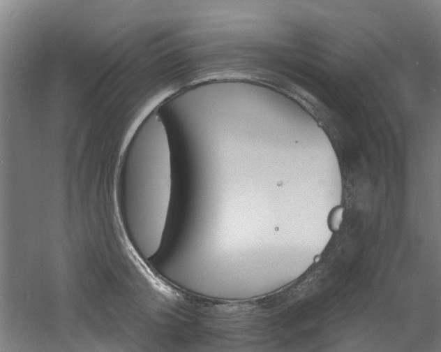 X0000060790804200511101033