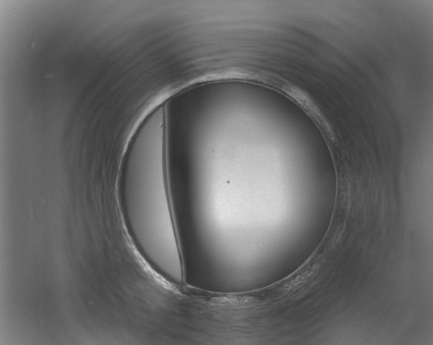 X0000060790805200511101033