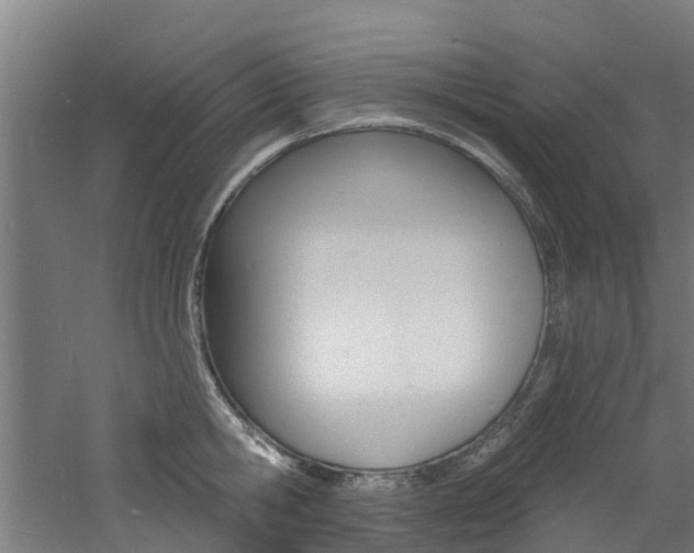 X0000060790806200511101033