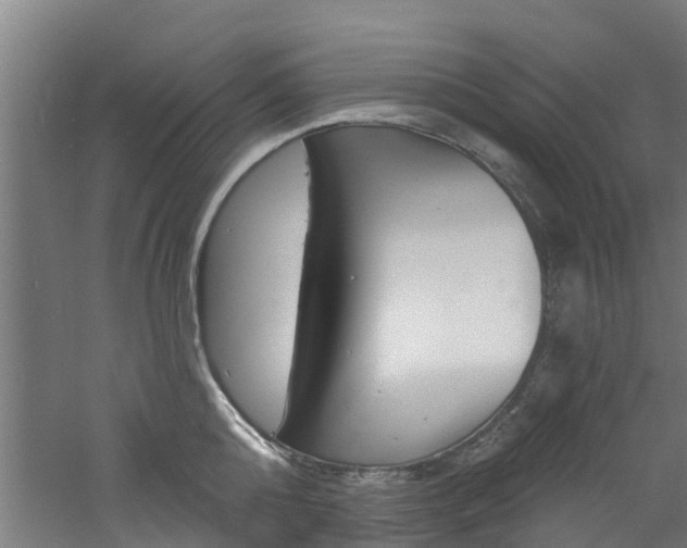 X0000060790808200511101033