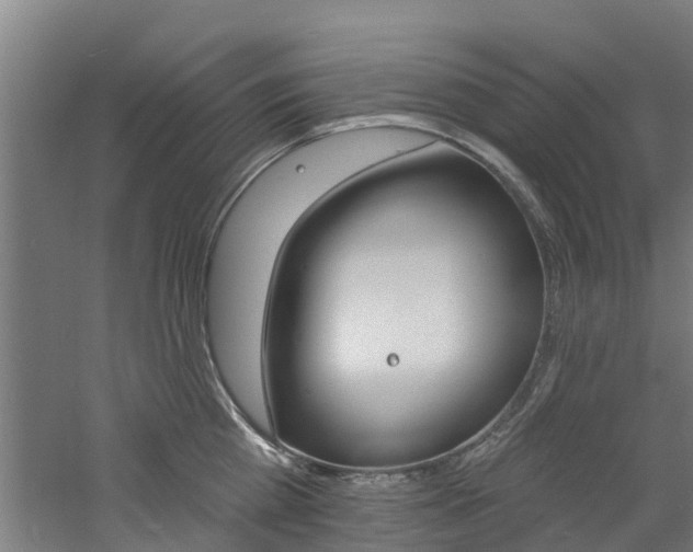 X0000060790809200511101032