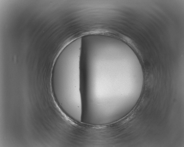 X0000060790810200511101032