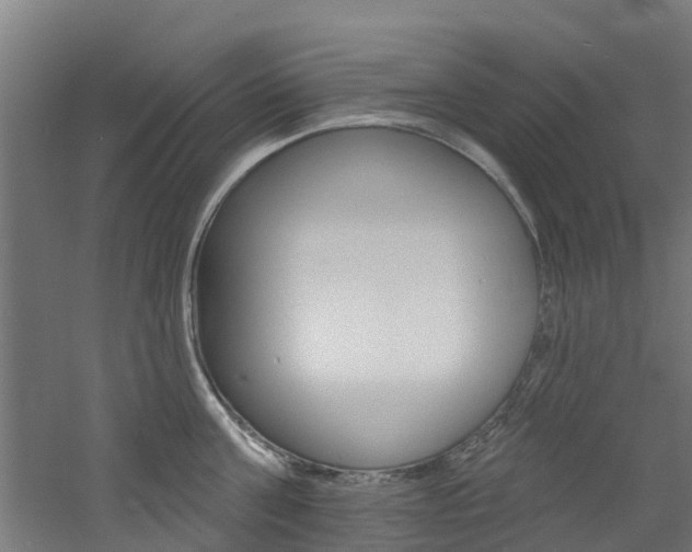 X0000060790811200511101032