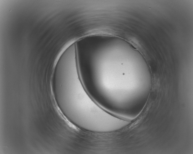 X0000060790812200511101032