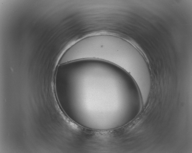 X0000060790813200511101032