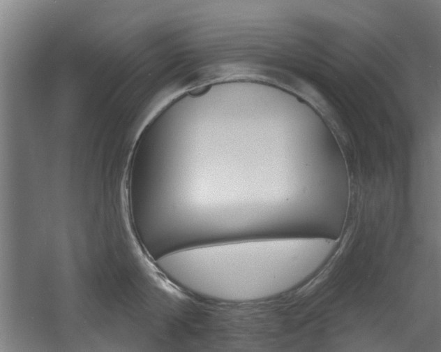 X0000060790814200511101032