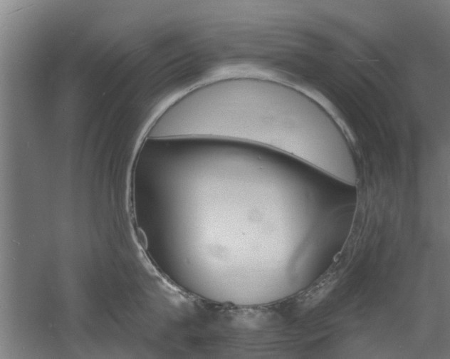 X0000060790815200511101032