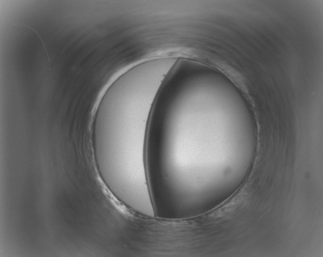 X0000060790816200511101032