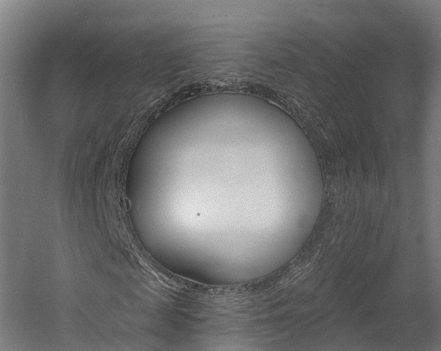 X0000060790817200511101032