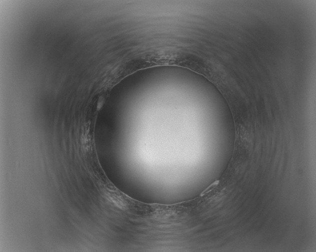 X0000060790818200511101032