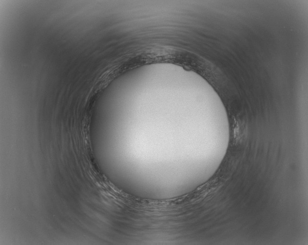 X0000060790819200511101032