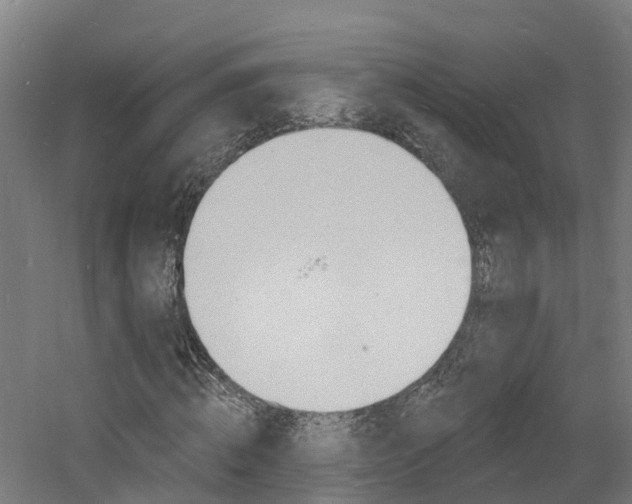 X0000060790820200511101032