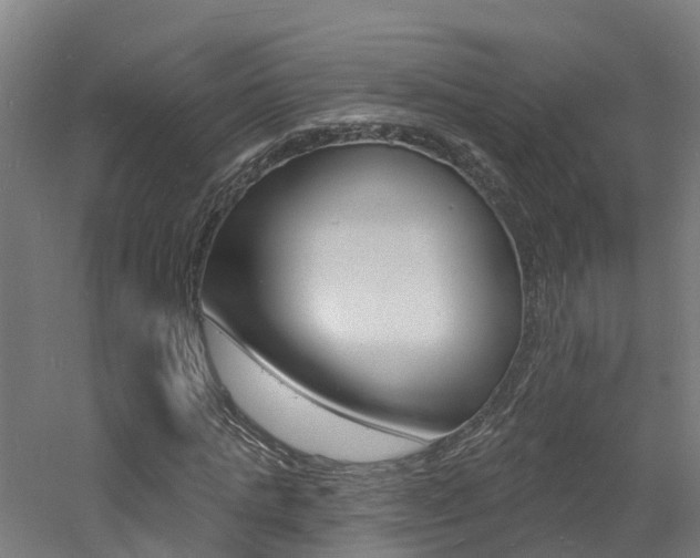 X0000060790821200511101032