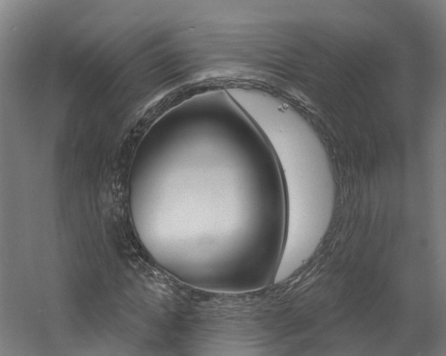 X0000060790822200511101032