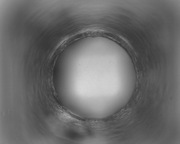 X0000060790823200511101032