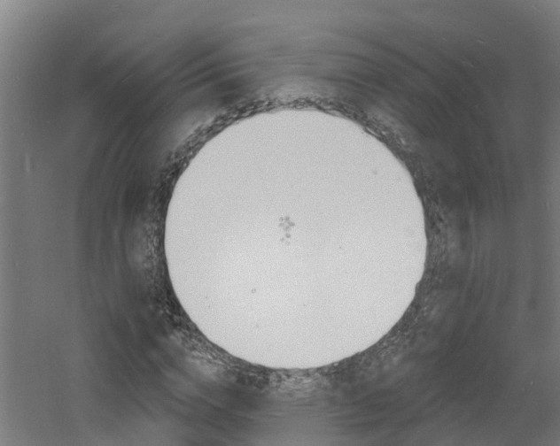 X0000060790824200511101032