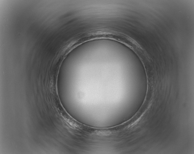 X0000060790825200511101032