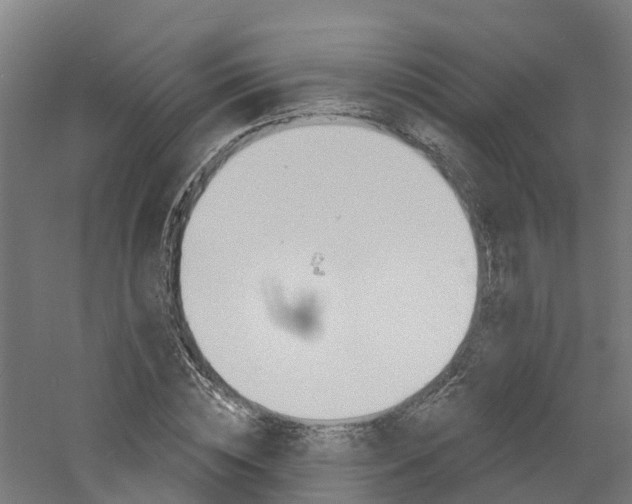 X0000060790828200511101032