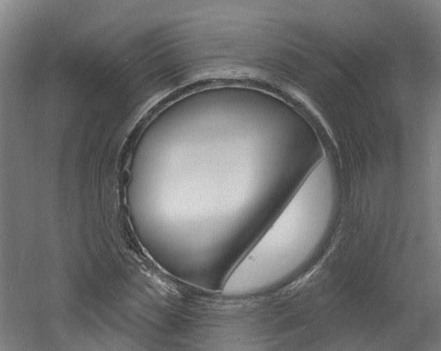 X0000060790829200511101032