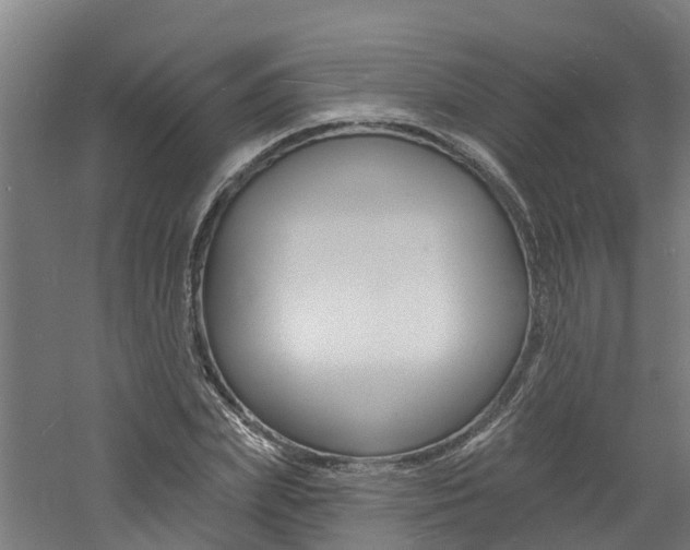 X0000060790831200511101032