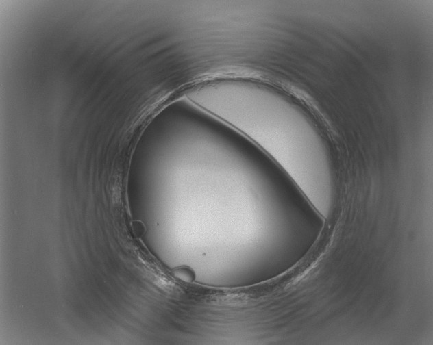 X0000060790833200511101032