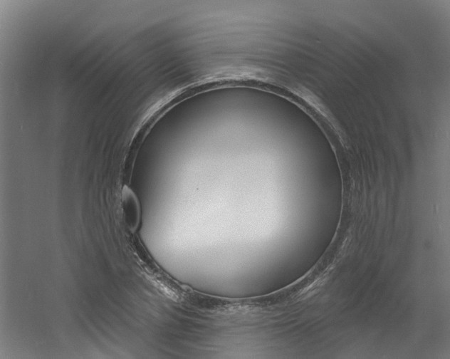 X0000060790834200511101032