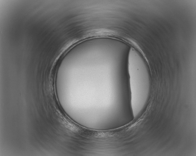 X0000060790835200511101032