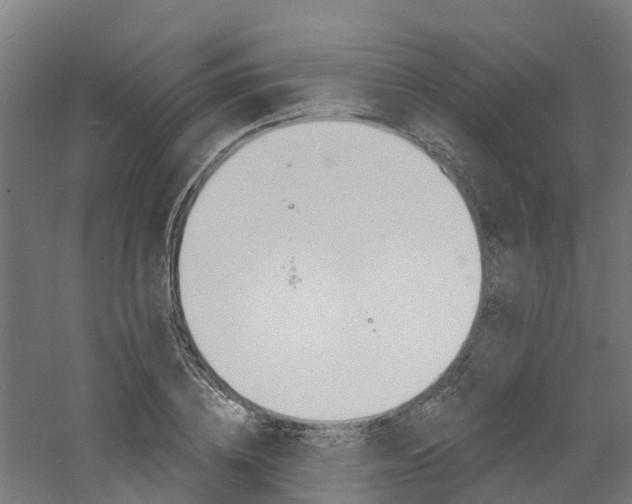 X0000060790836200511101032