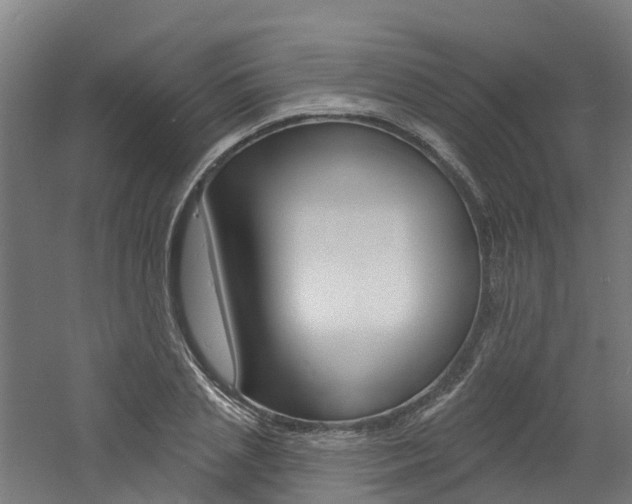 X0000060790837200511101032