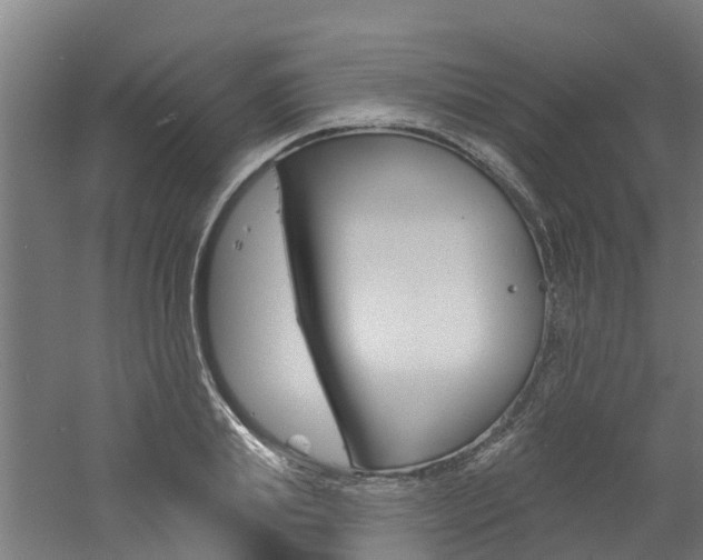 X0000060790839200511101032