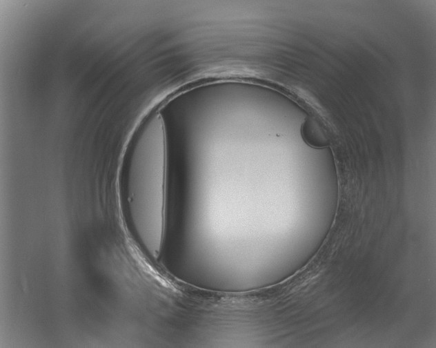 X0000060790840200511101032