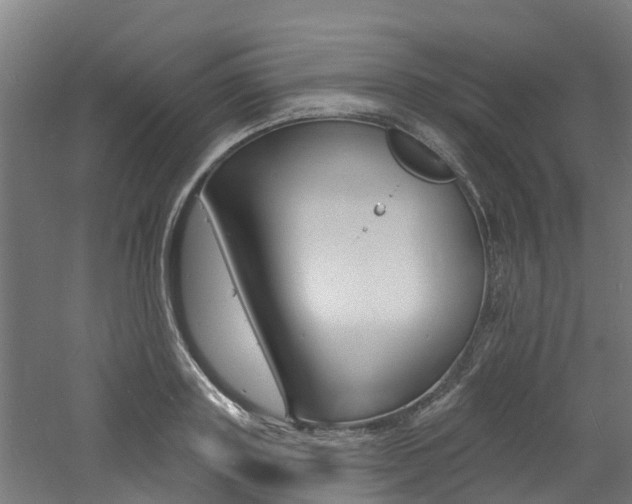 X0000060790843200511101032