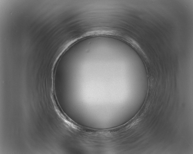 X0000060790844200511101032