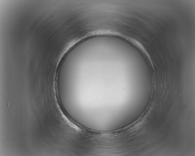 X0000060790847200511101032