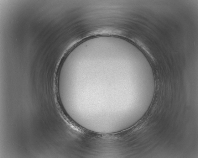 X0000060790848200511101032