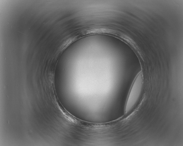 X0000060790849200511101032