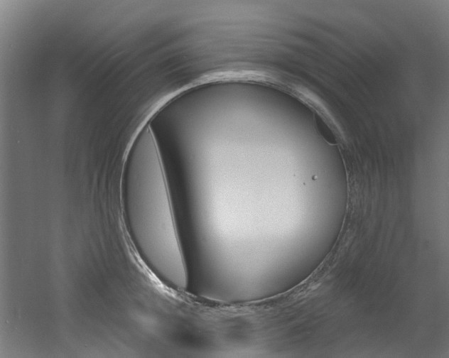 X0000060790852200511101032