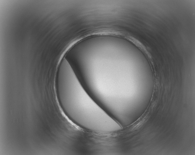 X0000060790855200511101032