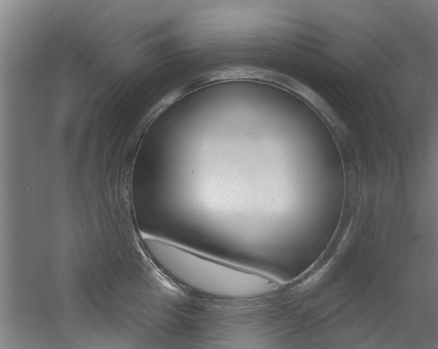 X0000060790857200511101032