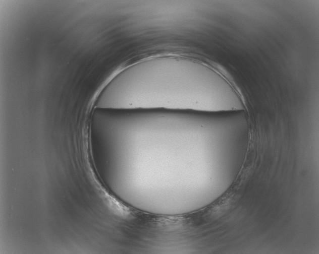 X0000060790859200511101032