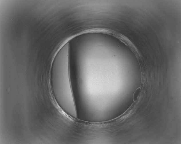 X0000060790860200511101032