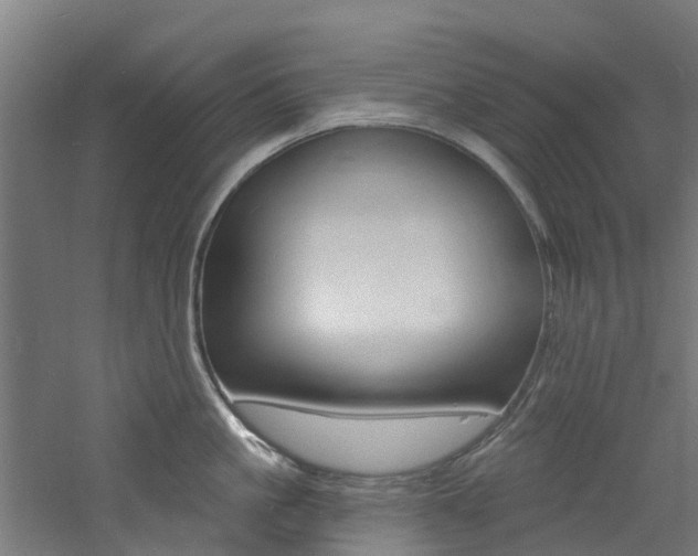 X0000060790861200511101032