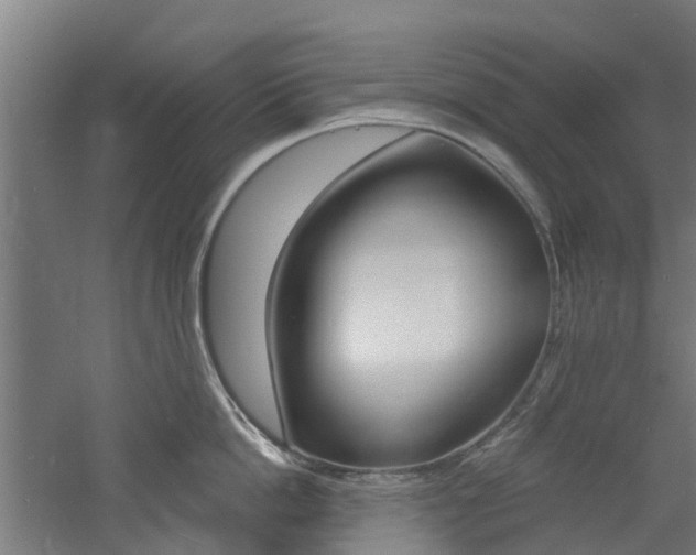 X0000060790862200511101032