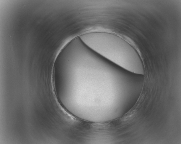 X0000060790863200511101032