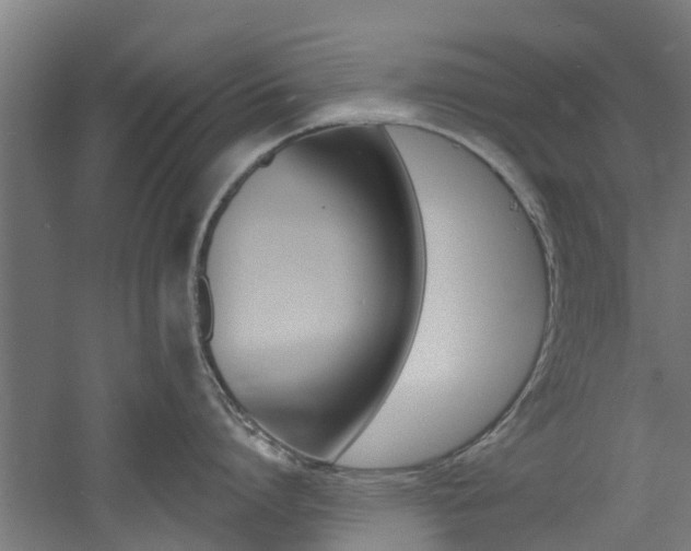 X0000060790864200511101032