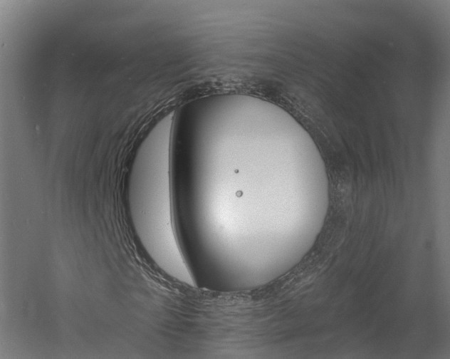 X0000060790865200511101032