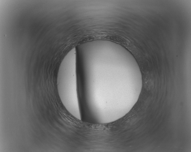 X0000060790866200511101032