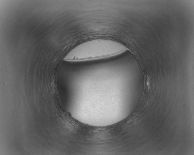 X0000060790867200511101032