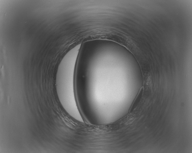 X0000060790868200511101031