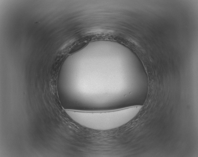 X0000060790869200511101031